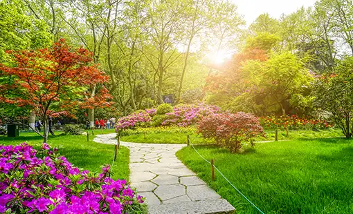 Ace Realty Ghodbunder Road Images