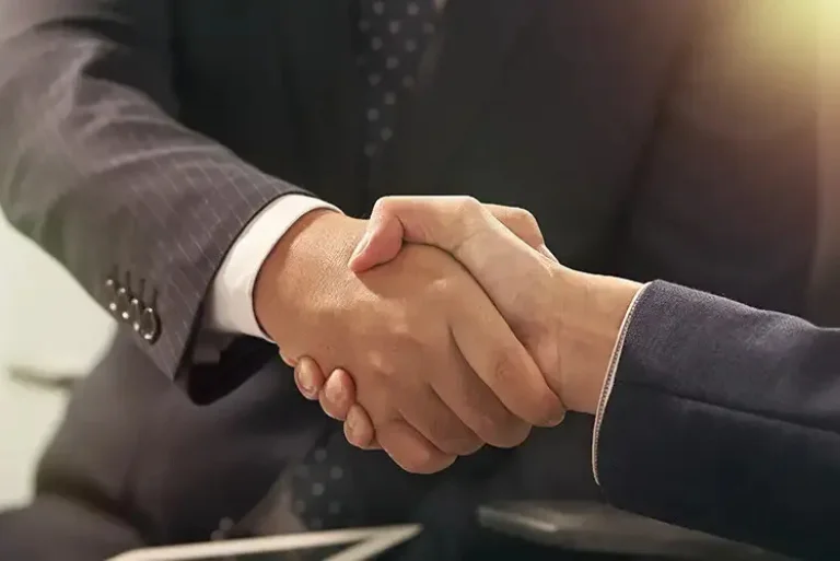 Ace Forest Kingdom Thane West