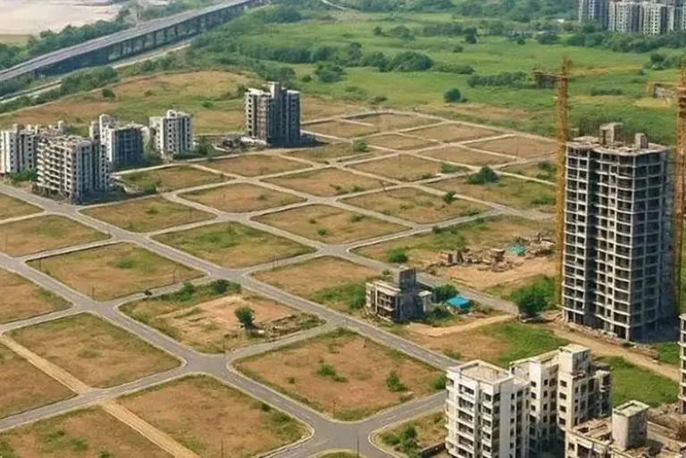 Squarefeet Forest Kingdom